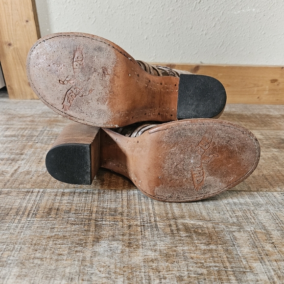 Freebird Belize - Picture 5 of 5